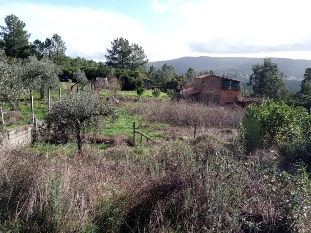 Quinta da Vinha, near Oleiros